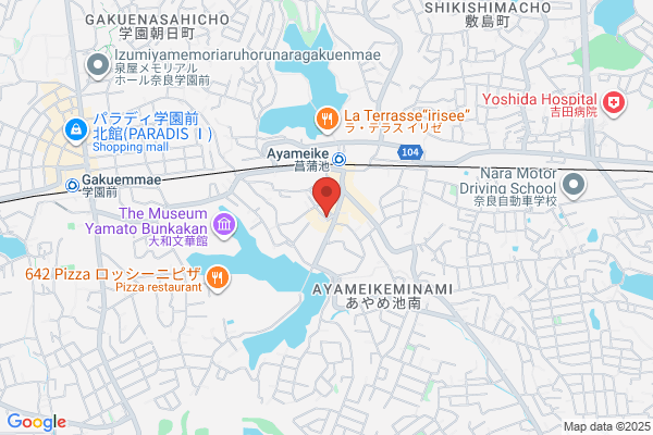 Nishio Surgery