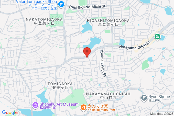 Steakhouse Ichiban