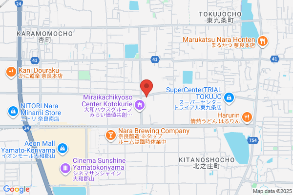 Teisan Kanko Bus Nara Br.