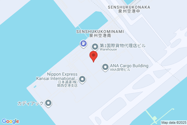 International Air Cargo System Inc.