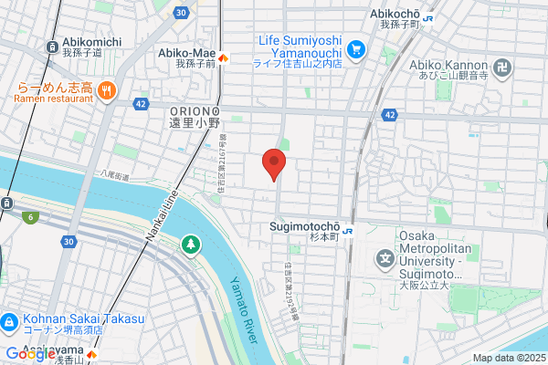 Kansai Electric Association