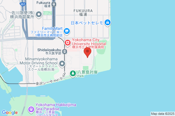 Toyo Denki Seizo K.K. Osaka Br.