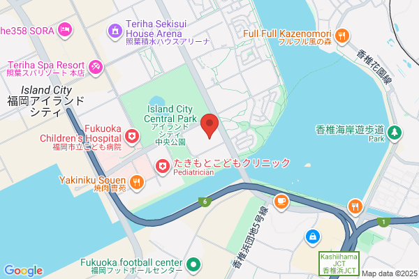 E E S Japan Ltd.