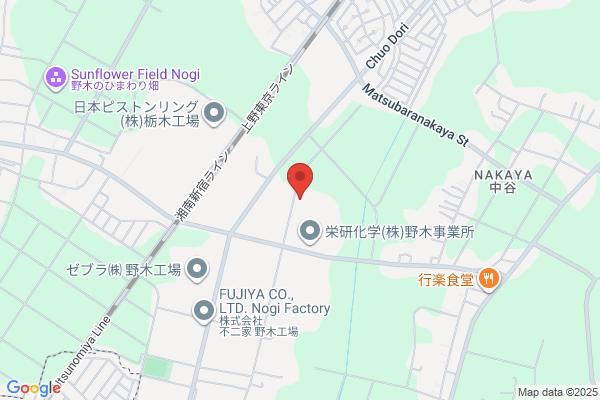 Eiken Co., Ltd.