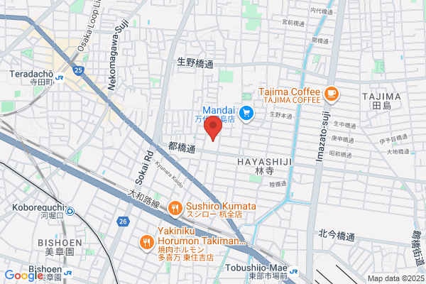 Anjo International Osaka School