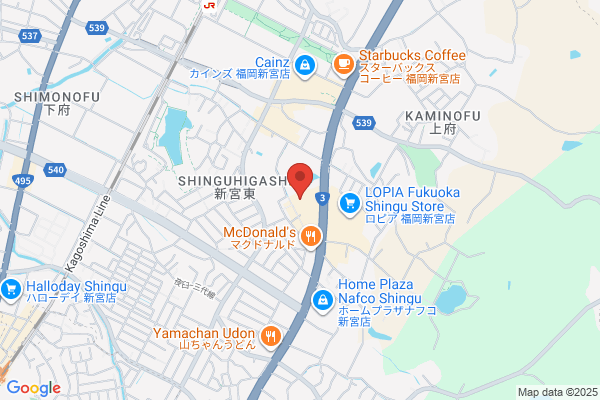 Best Denki Shingu-ten
