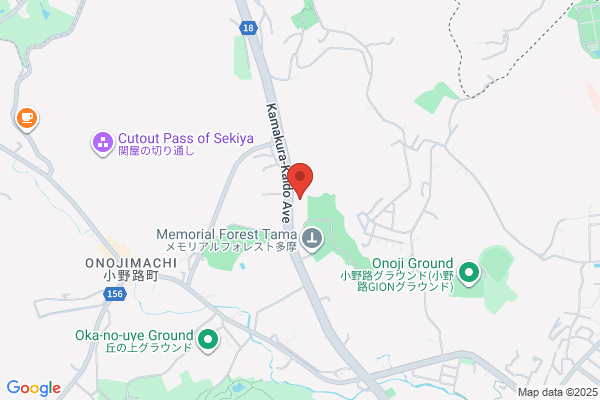 YS Japan Co., Ltd.