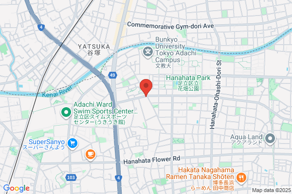 Johoku Denki Hokima