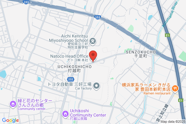 Nippon CMK