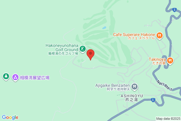 Hakone Yu no Hana Onsen Hotel