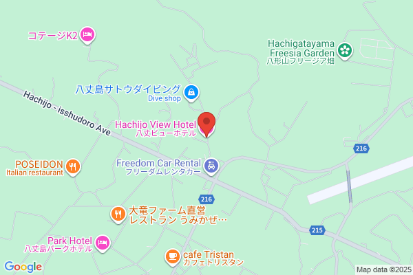 Hachijo View Hotel