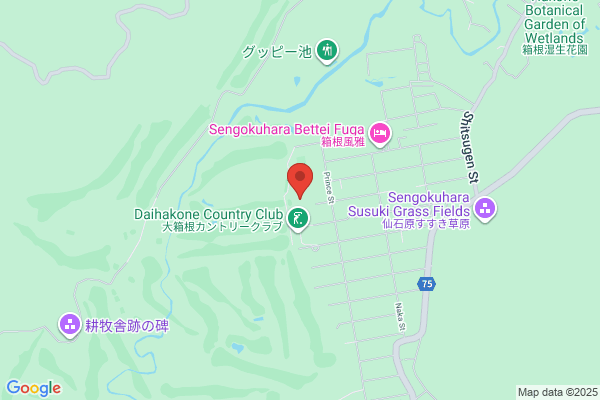 Hakone Sengokuhara Prince Hotel