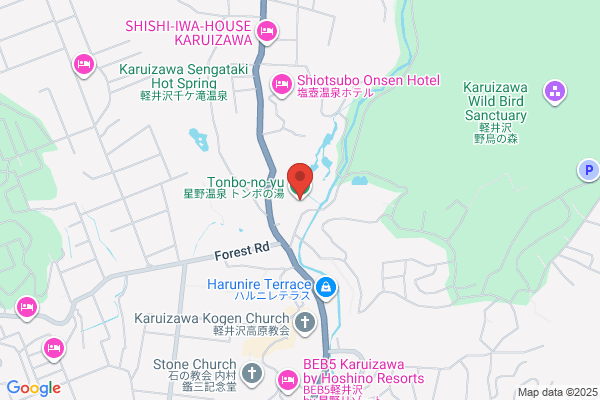 Hoshino Resort Hoshino Onsen Hotel