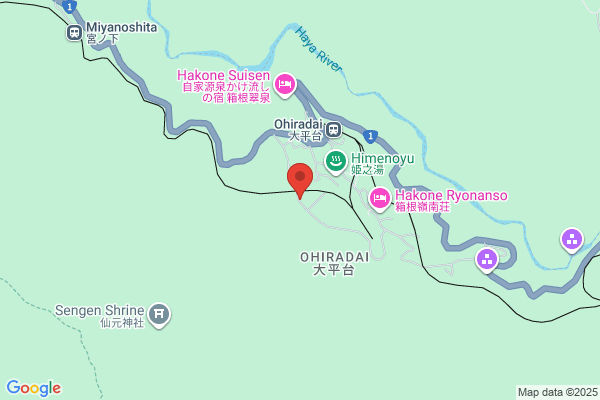 Hotel Hakoneya