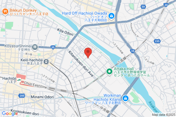 Japan Organ Co., Ltd.