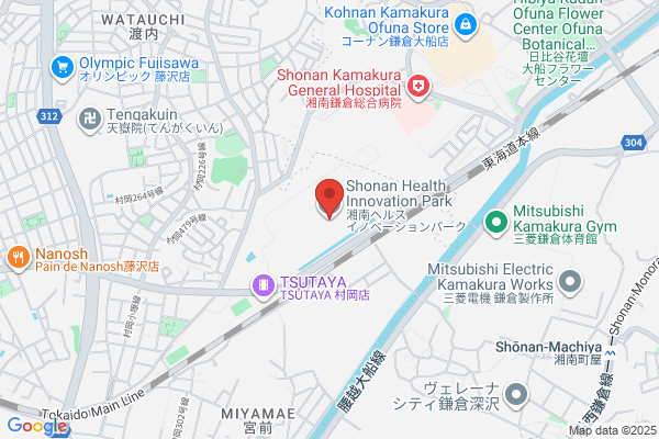 Fujisawa Pharmaceutical Company Limited