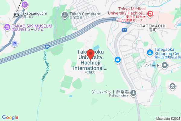 AXT Japan