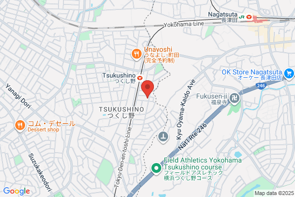 Tsukushino Tennis College