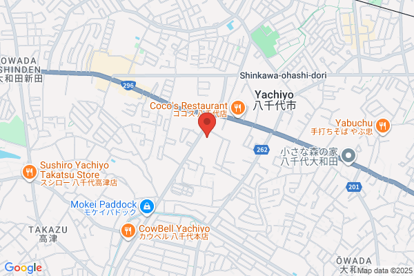 Autobacs Yachiyo Shop