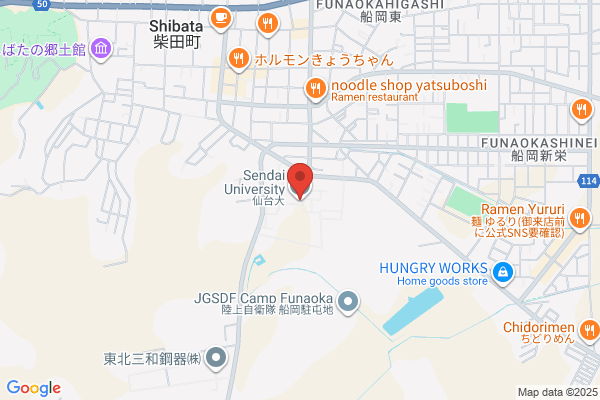 Sendai College