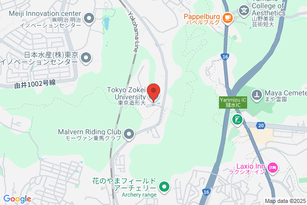 Tokyo Zokei University