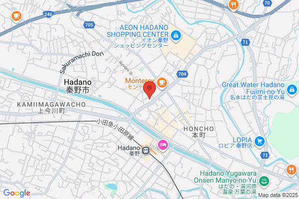 Bank of Yokohama Ltd., The, Shibusawa