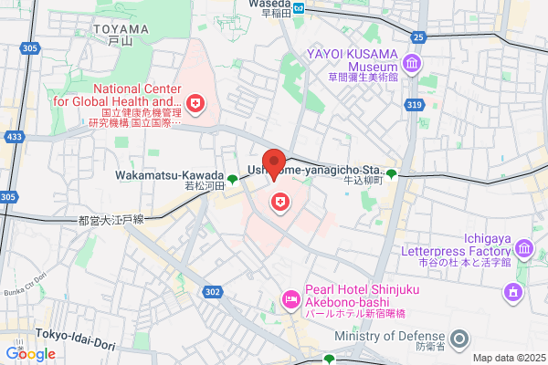 United Church of Christ in Japan, The Shinwa Church