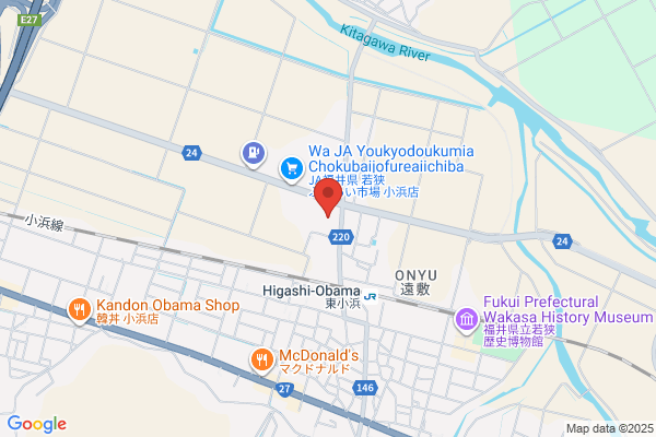 Fukui Denki