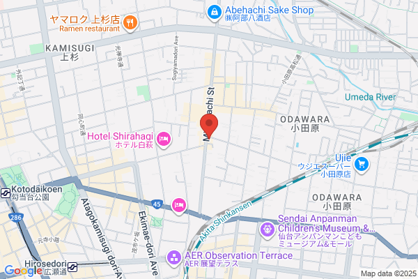 Toyo Igaku Academy