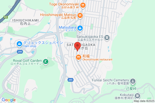 Tsumoto Clinic