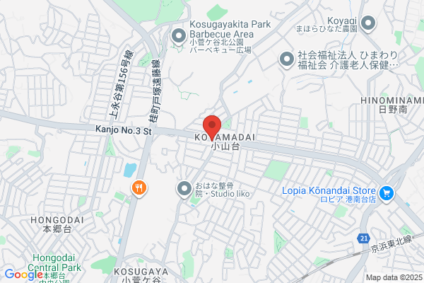 Hongodai Pharmacy