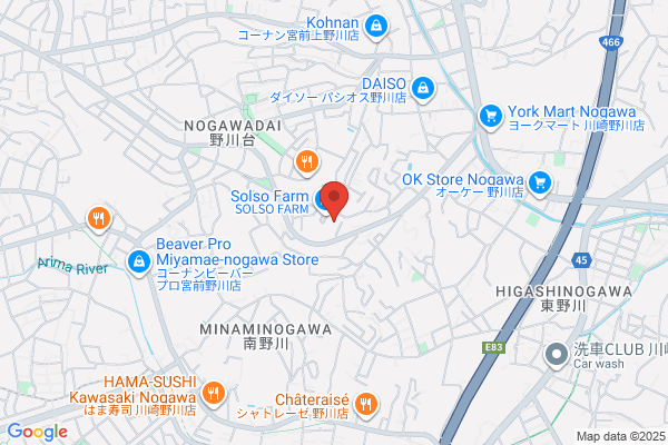 Daishin Shoji Co., Ltd.