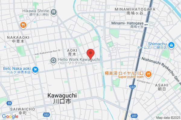 Nippon Flowcell Manufacturing Co.