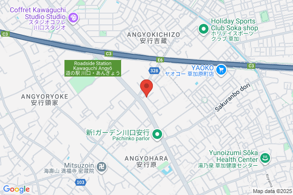 Taisho Rubber Co., Ltd.