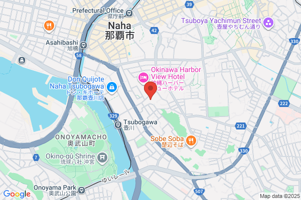 Ryugin Venture Capital Co Ltd