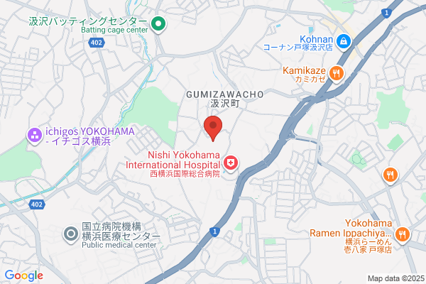 Ryushin Co Ltd