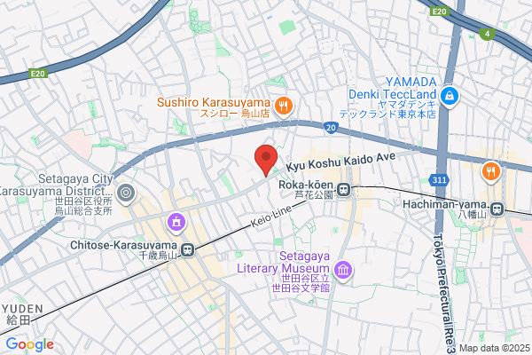 Hirayama Denki