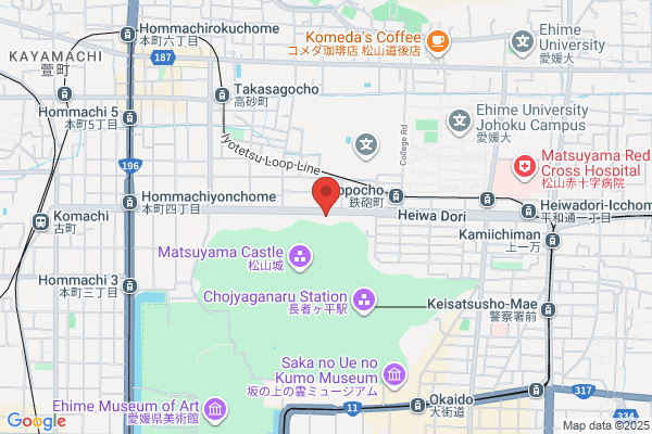 Business Hotel Taema