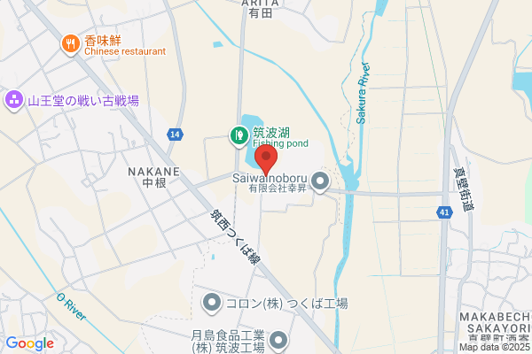 YM Shokai