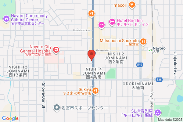 Business Hotel Hayashi