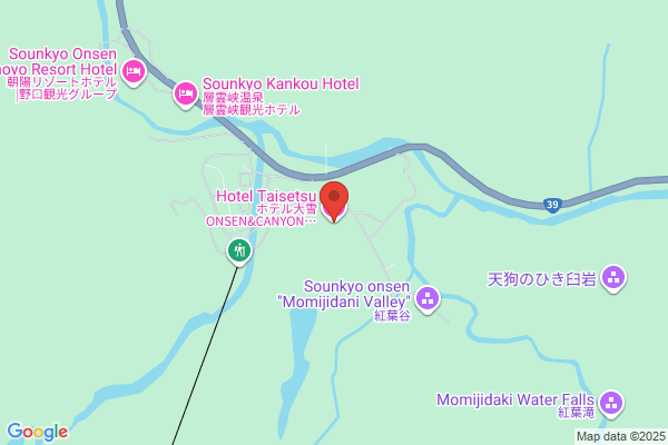 Sounkyo Prince Hotel Choyotei
