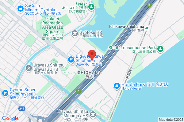 Ichikawa Denshi Kogyosho