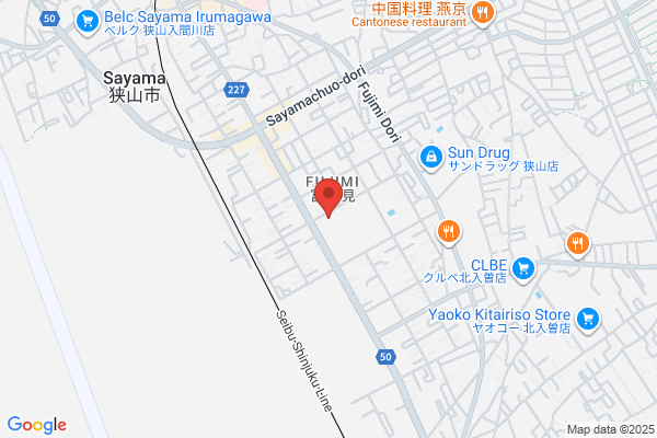 Sayama Precision Kogyo Co., Ltd.