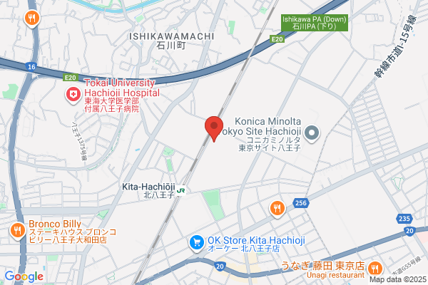 Tokyo Seimitsu Kogyo Co., Ltd.