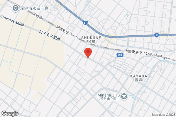 Tokyo Seitoku Fukaya High School