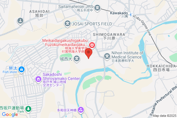 Josai University