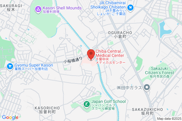 Chiba Mamoru Internal Medical Clinic