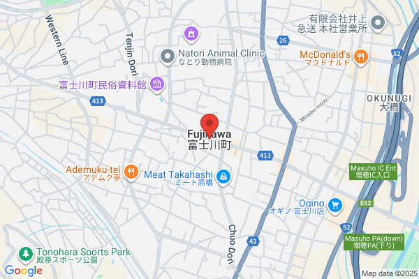 Fujikawa Dendoki