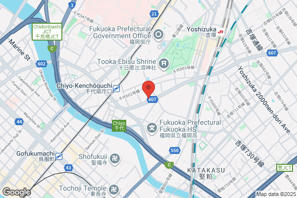 Fukuoka Nissan Jidosha Co., Ltd. Fukuoka-ten