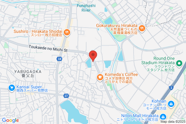 Himedic Japan Co., Ltd.